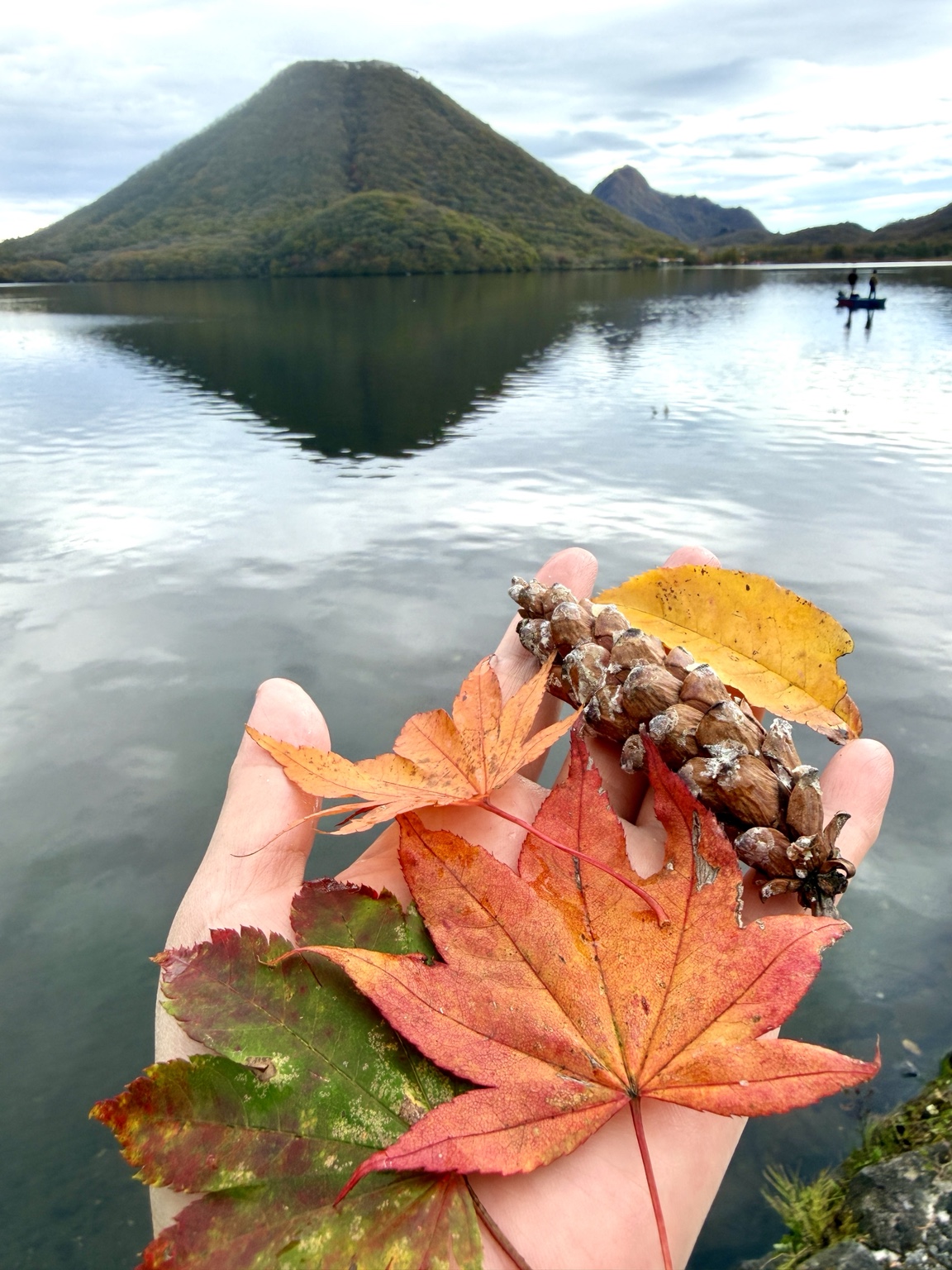 榛名富士が映る湖面を背景に、手のひらに集めた赤や黄色の葉と松ぼっくり